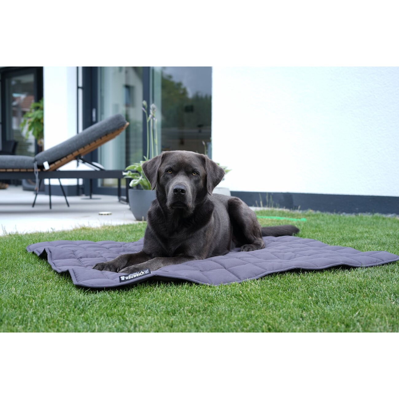 Hundedecke gesteppt 95 Grad Bild 9