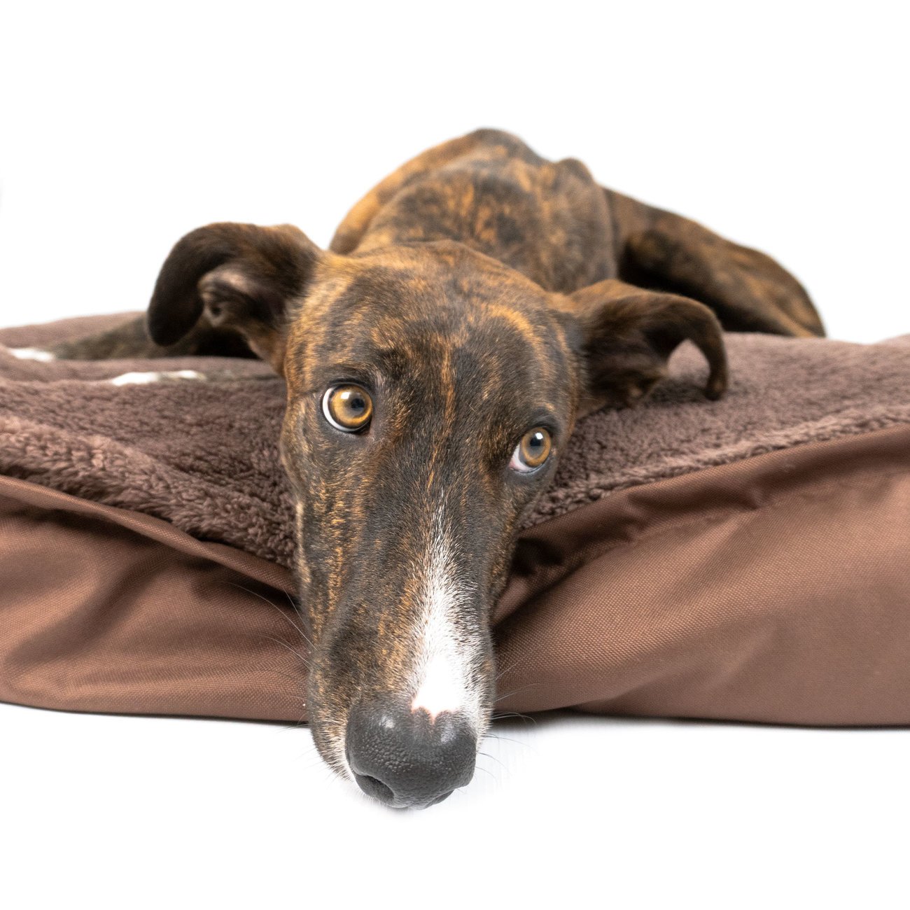 Hundekissen Akani mit Plüsch Bild 9