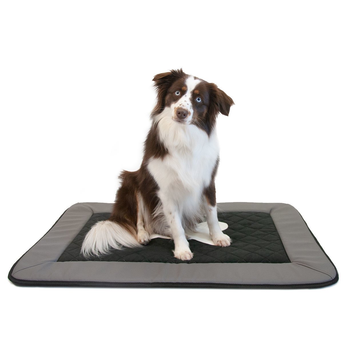 Hundematte mit Knochen-Motiv Bild 2