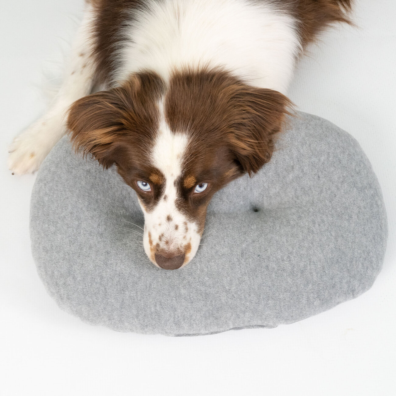 Kopfkissen für Hundebett Bild 7