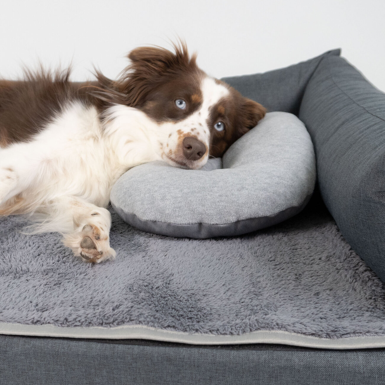 Kopfkissen für Hundebett Bild 3