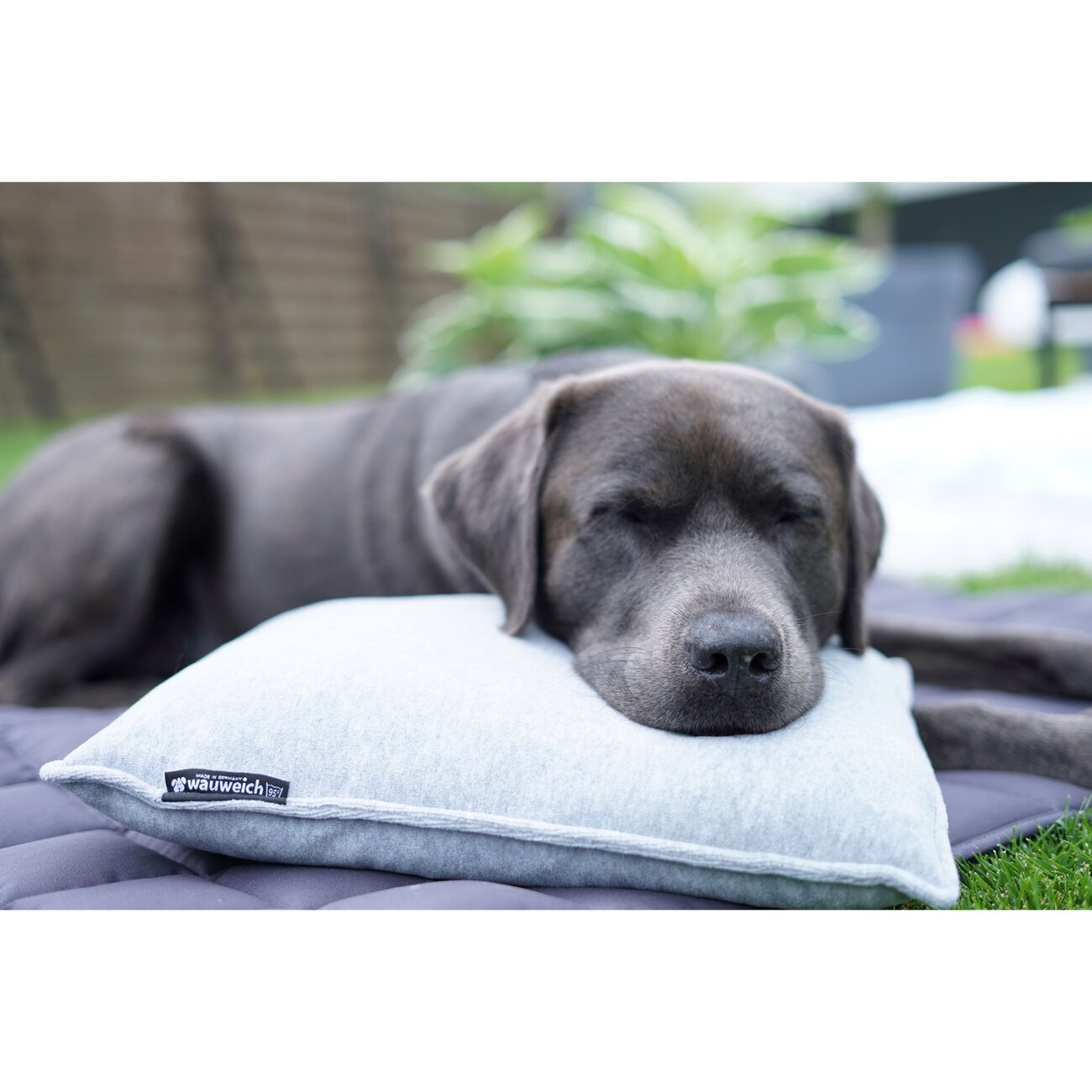 Kuschelkissen mit Fleece Bild 5