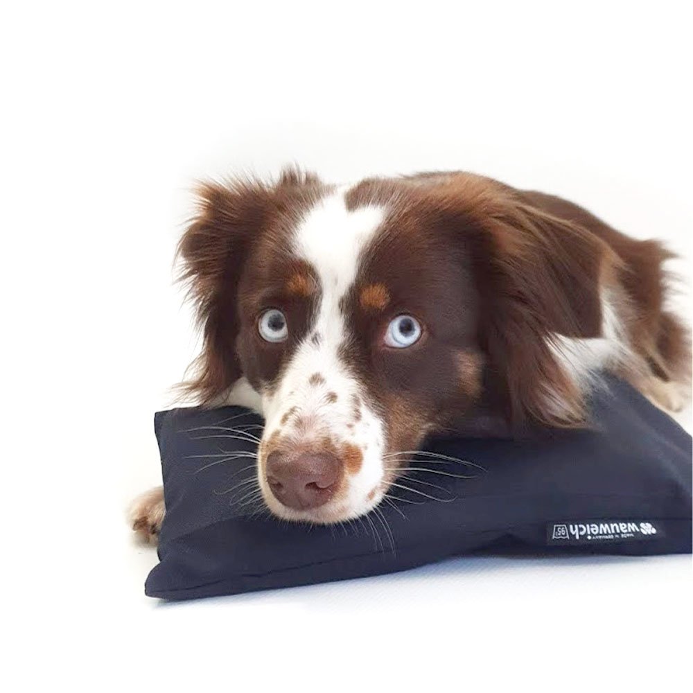 Lavendelkissen beruhigend für Hunde Bild 3