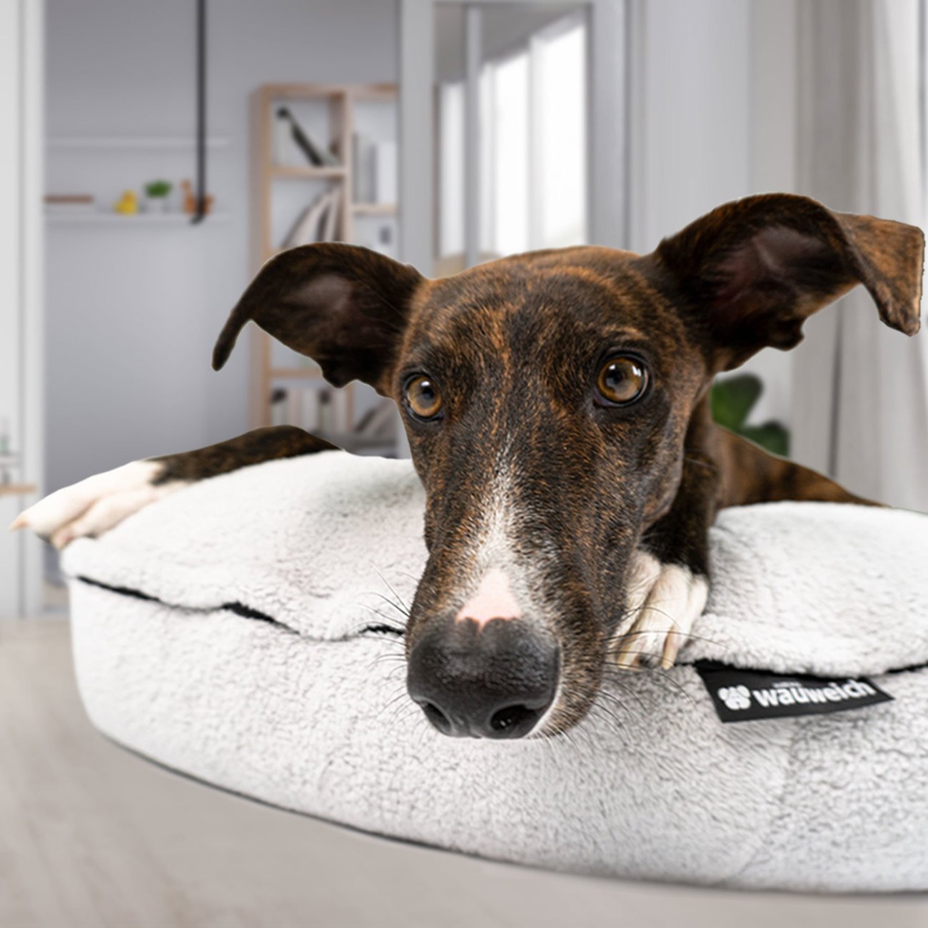 XL Luxuskissen rund für Hunde Bild 9