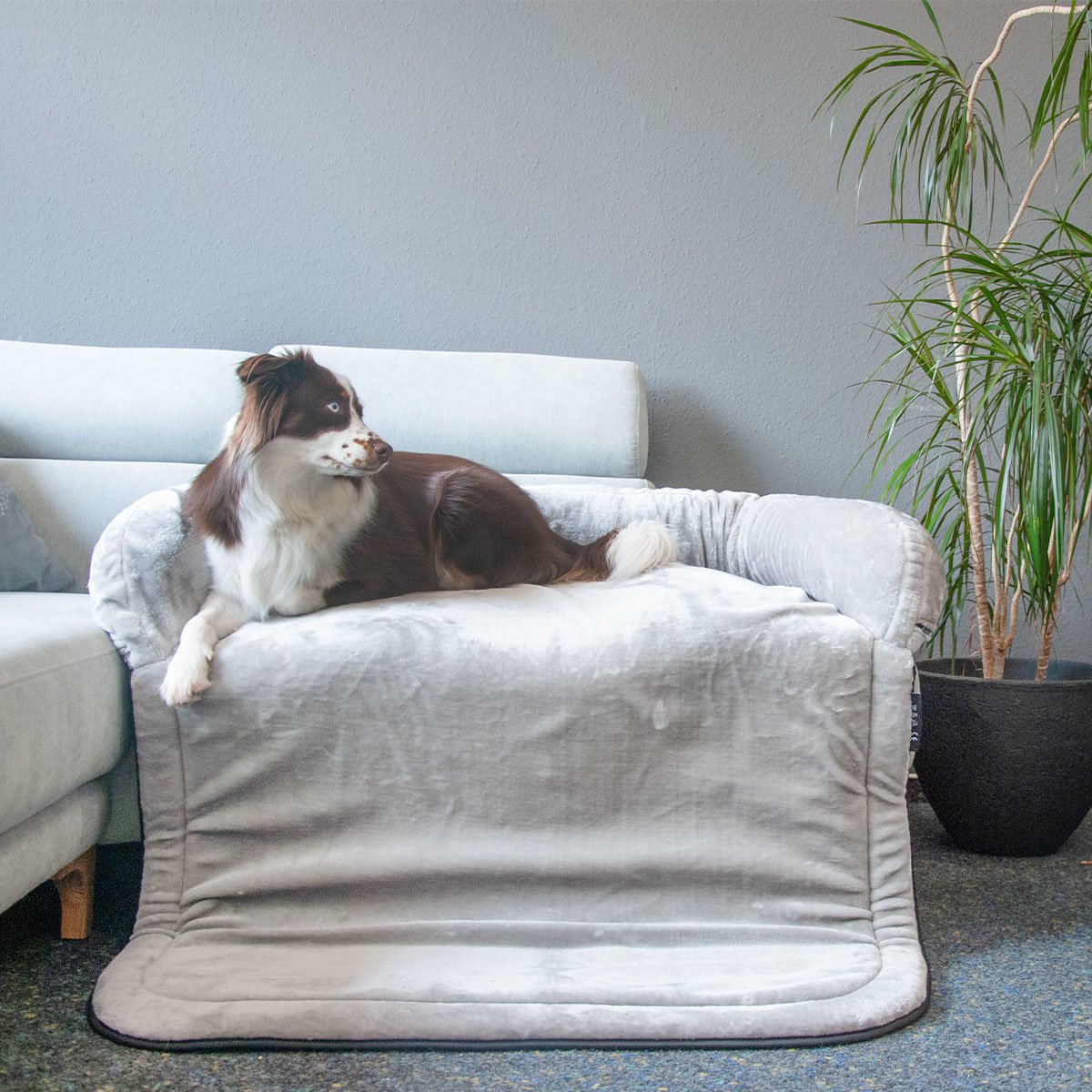 Sofadecke für Hunde aus Plüsch Bild 2