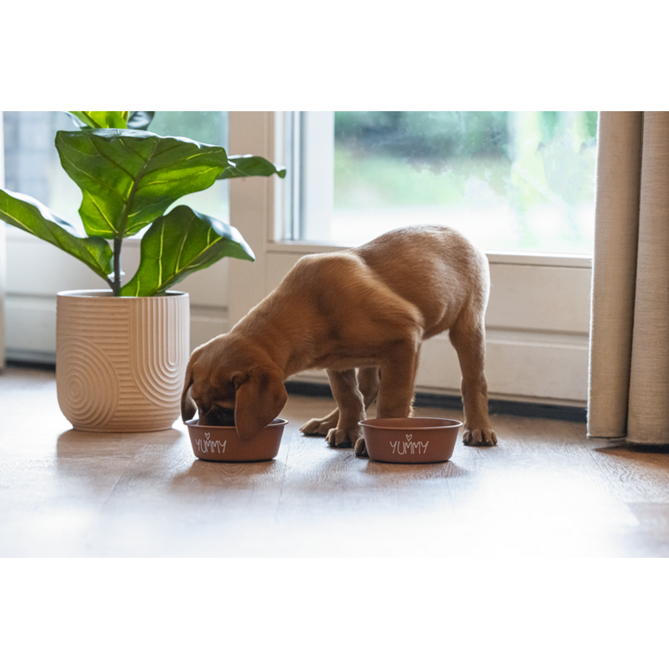 Napf für Welpen aus Edelstahl Snoes Bild 2