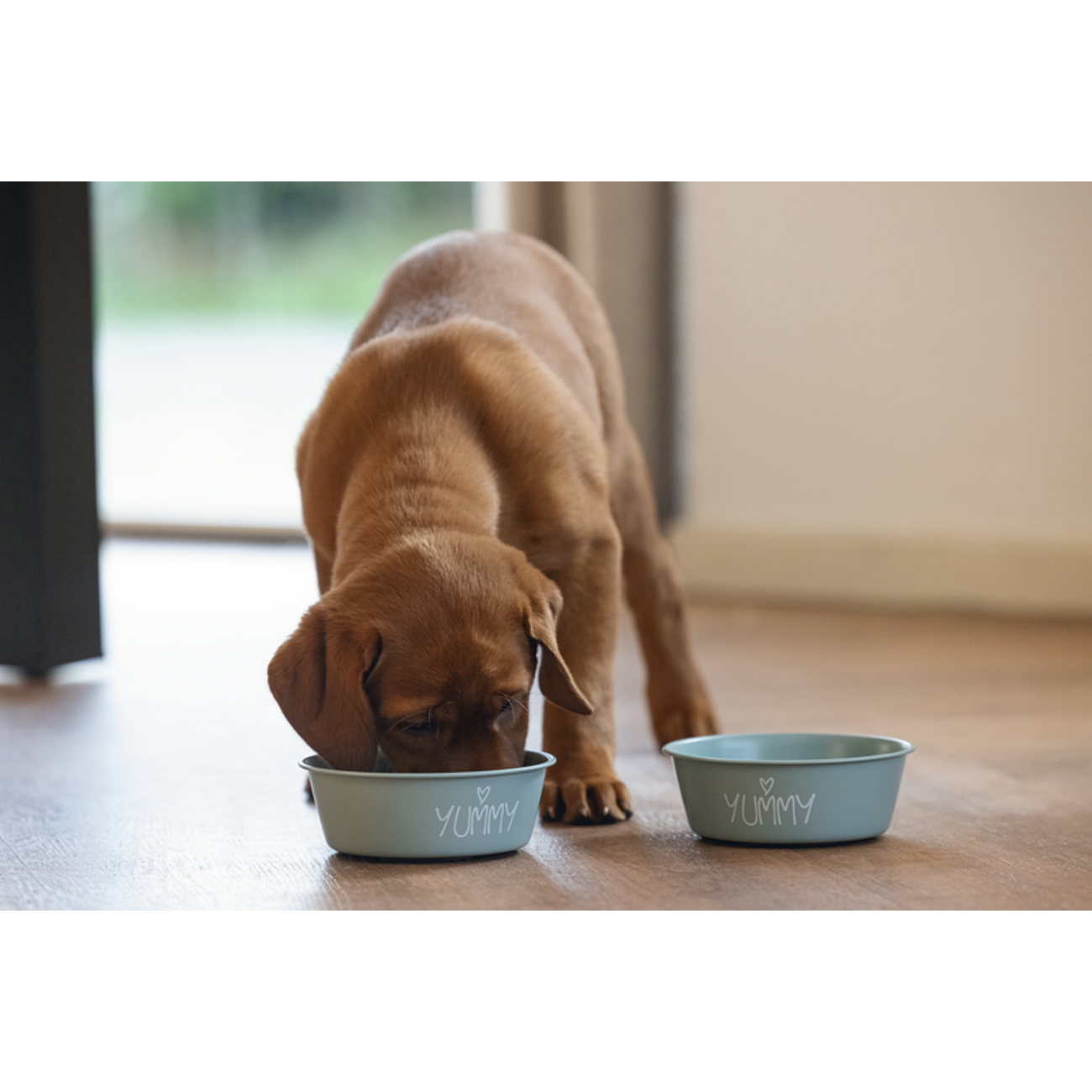 Napf für Welpen aus Edelstahl Snoes Bild 4