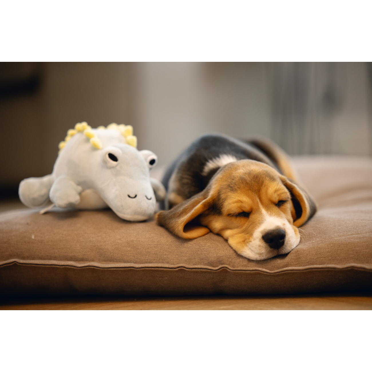 Welpenspielzeug Dinosaurier Vince Bild 2