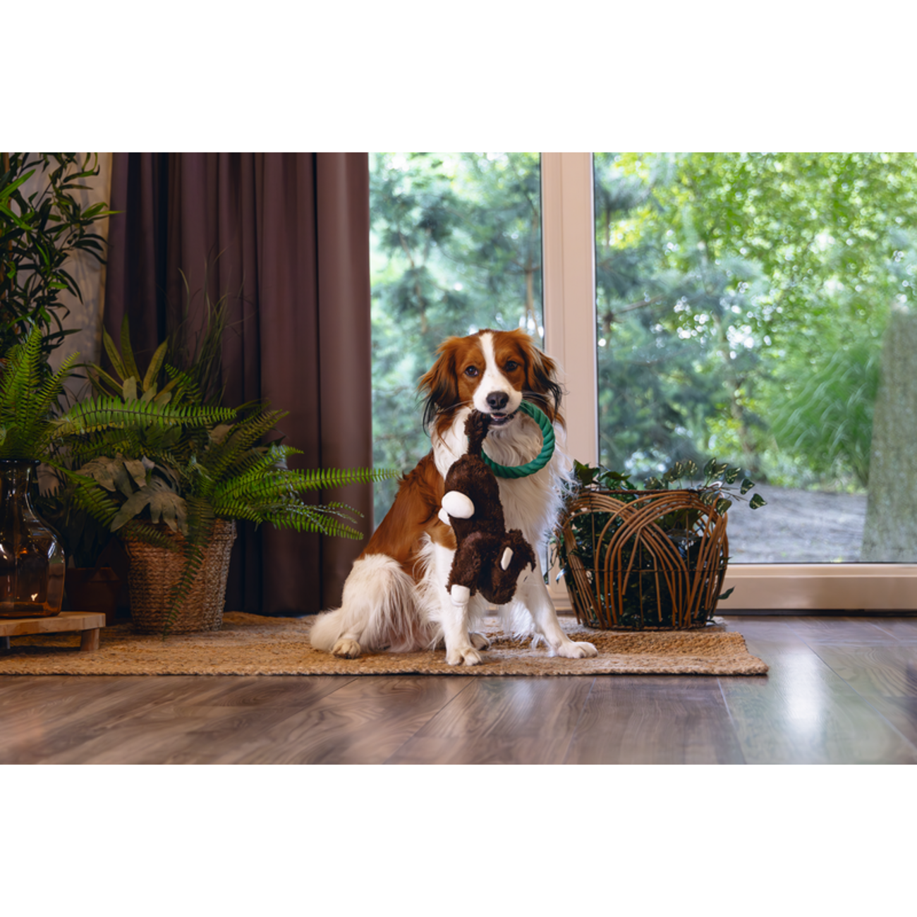 Plüsch-Seilspielzeug Dschungel Mats für Hunde Bild 2