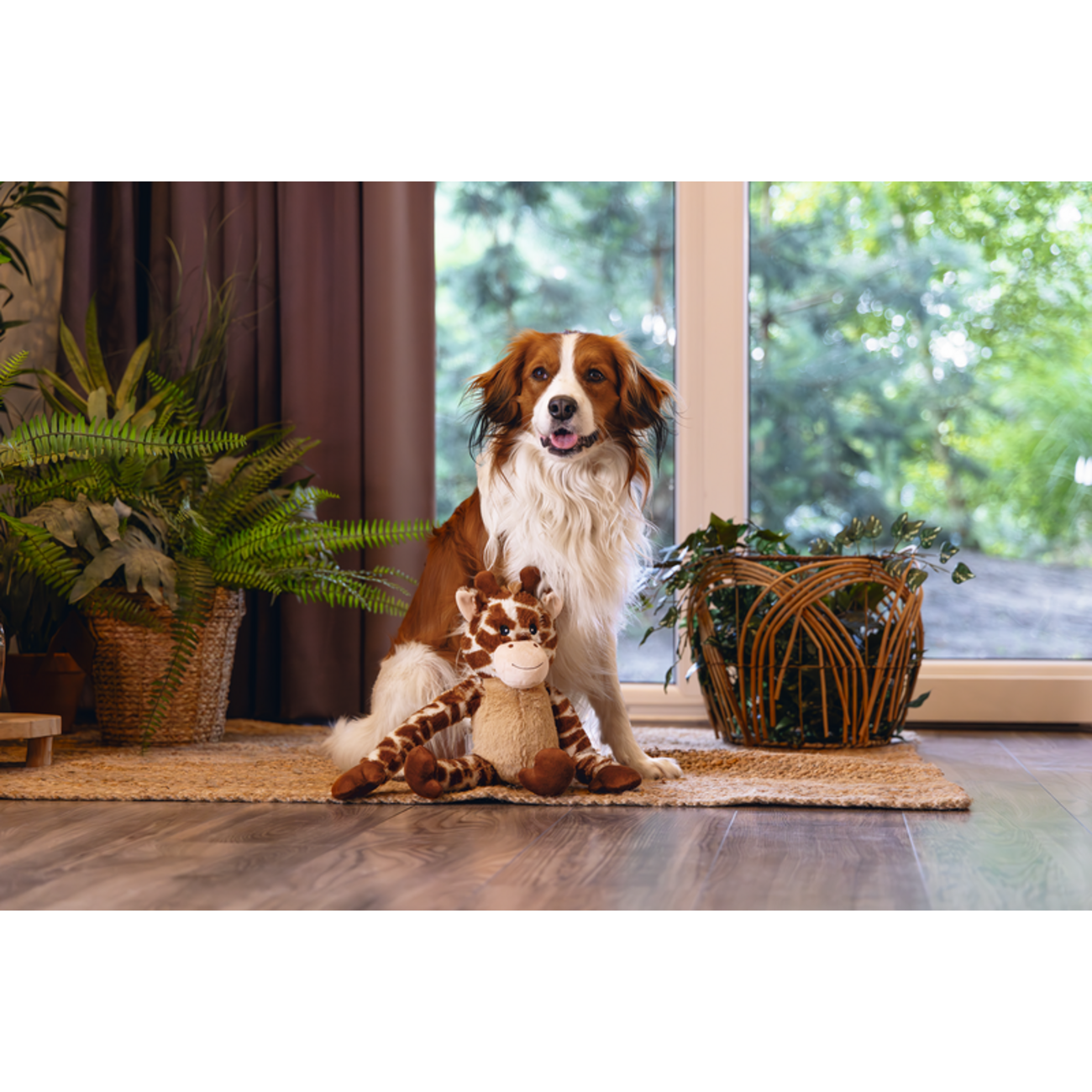 Plüsch Hundespielzeug Dschungel Giraffe Bild 2