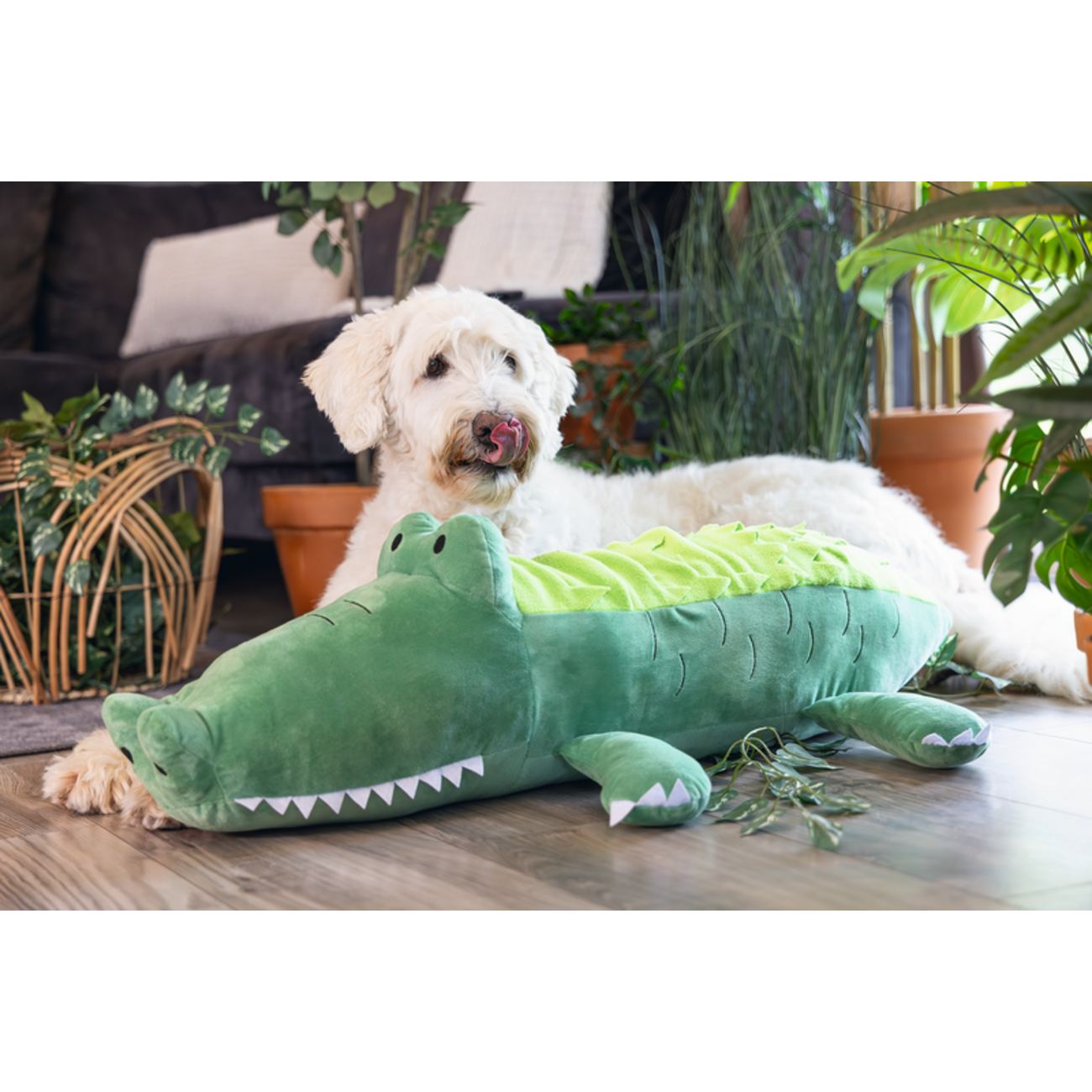 Plüsch Hundespielzeug Dschungel Hide n Seek Krokodil Bild 2