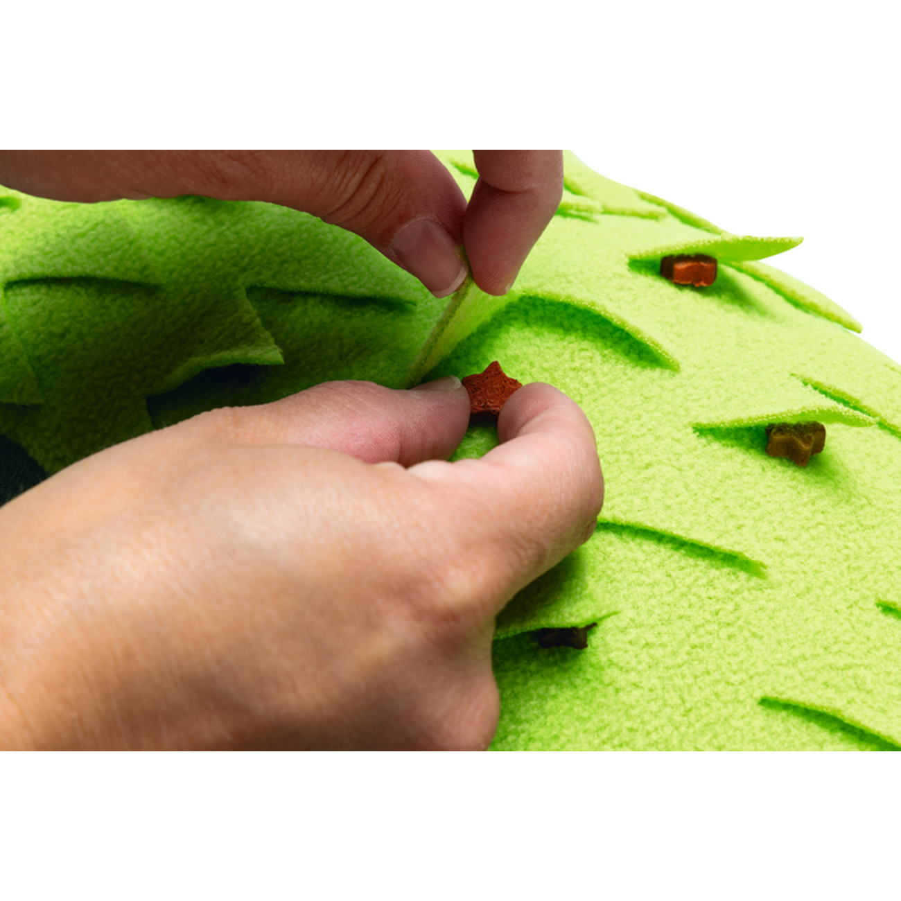 Plüsch Hundespielzeug Dschungel Hide n Seek Krokodil Bild 3