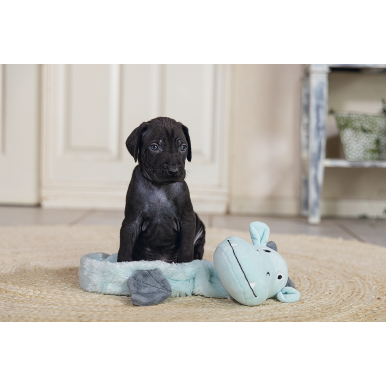 Puppy Welpen Spielzeug Flatino Drache Yi Bild 2