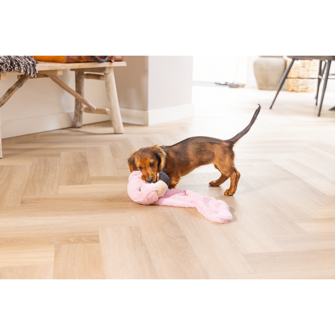 Puppy Welpen Hundespielzeug Flatino Flamingo Fe Bild 2