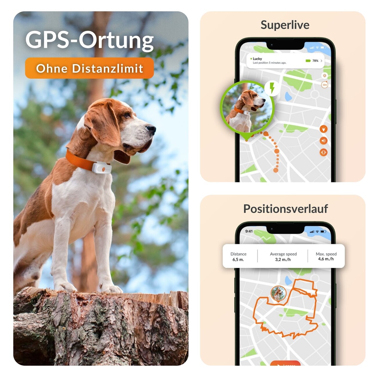 XS GPS Tracker für Hunde mit Lebenslanger Garantie Bild 3