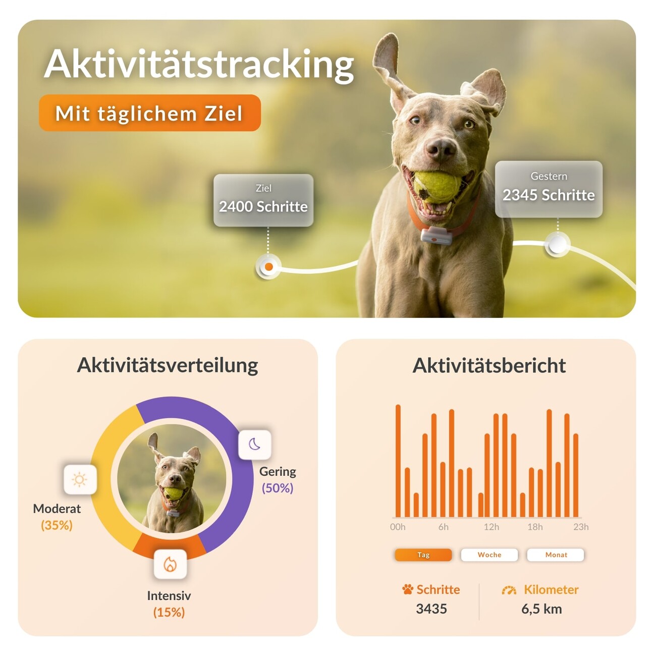 XS GPS Tracker für Hunde mit Lebenslanger Garantie Bild 4