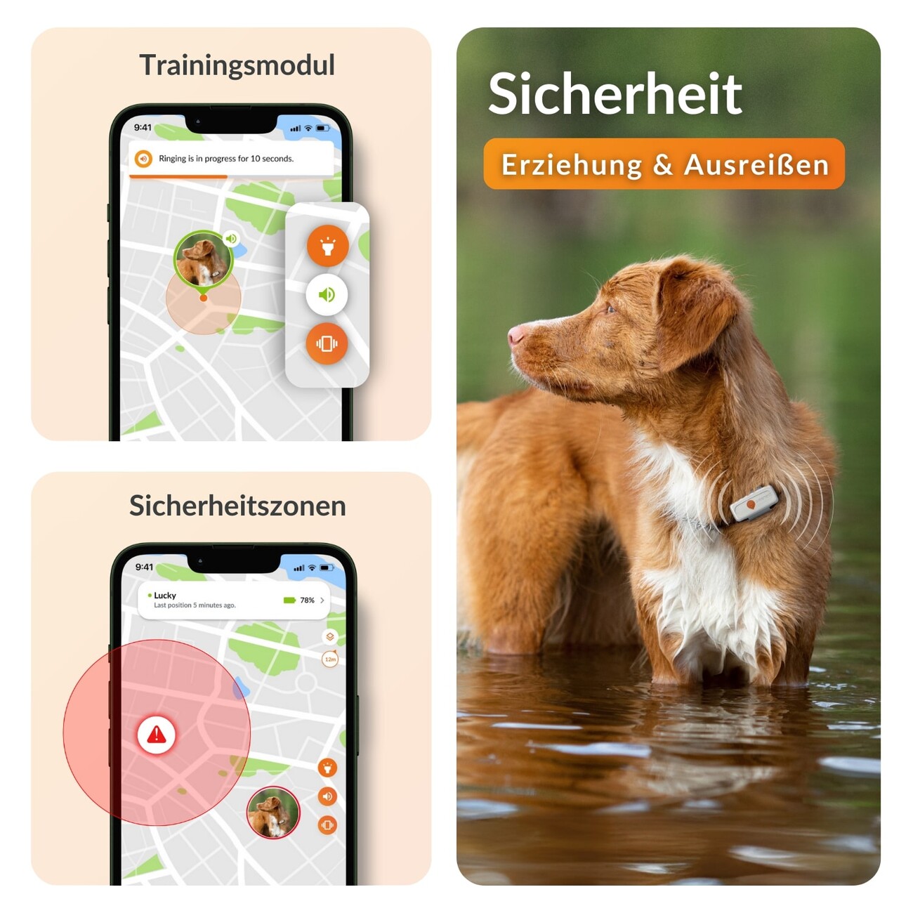 XS GPS Tracker für Hunde mit Lebenslanger Garantie Bild 5