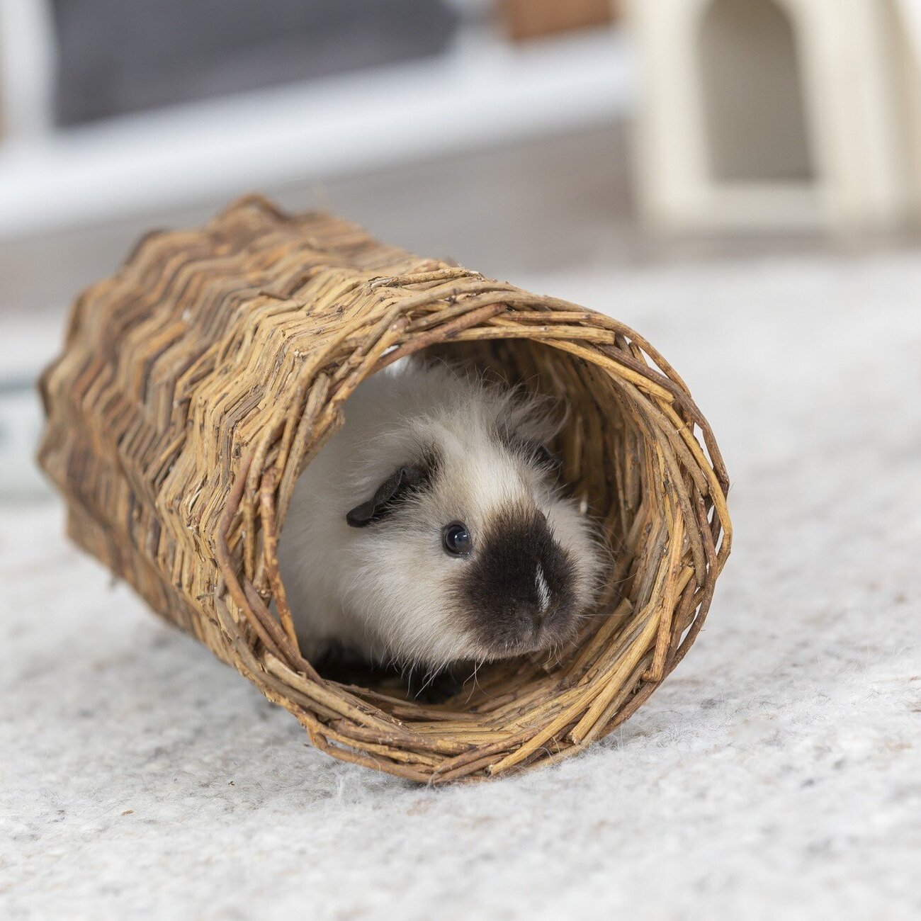 Weidentunnel für Kleintiere Bild 4