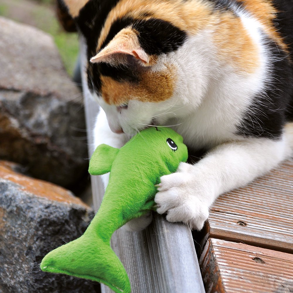 Wellness Katzenspielkissen Welli-Fisch Bild 2