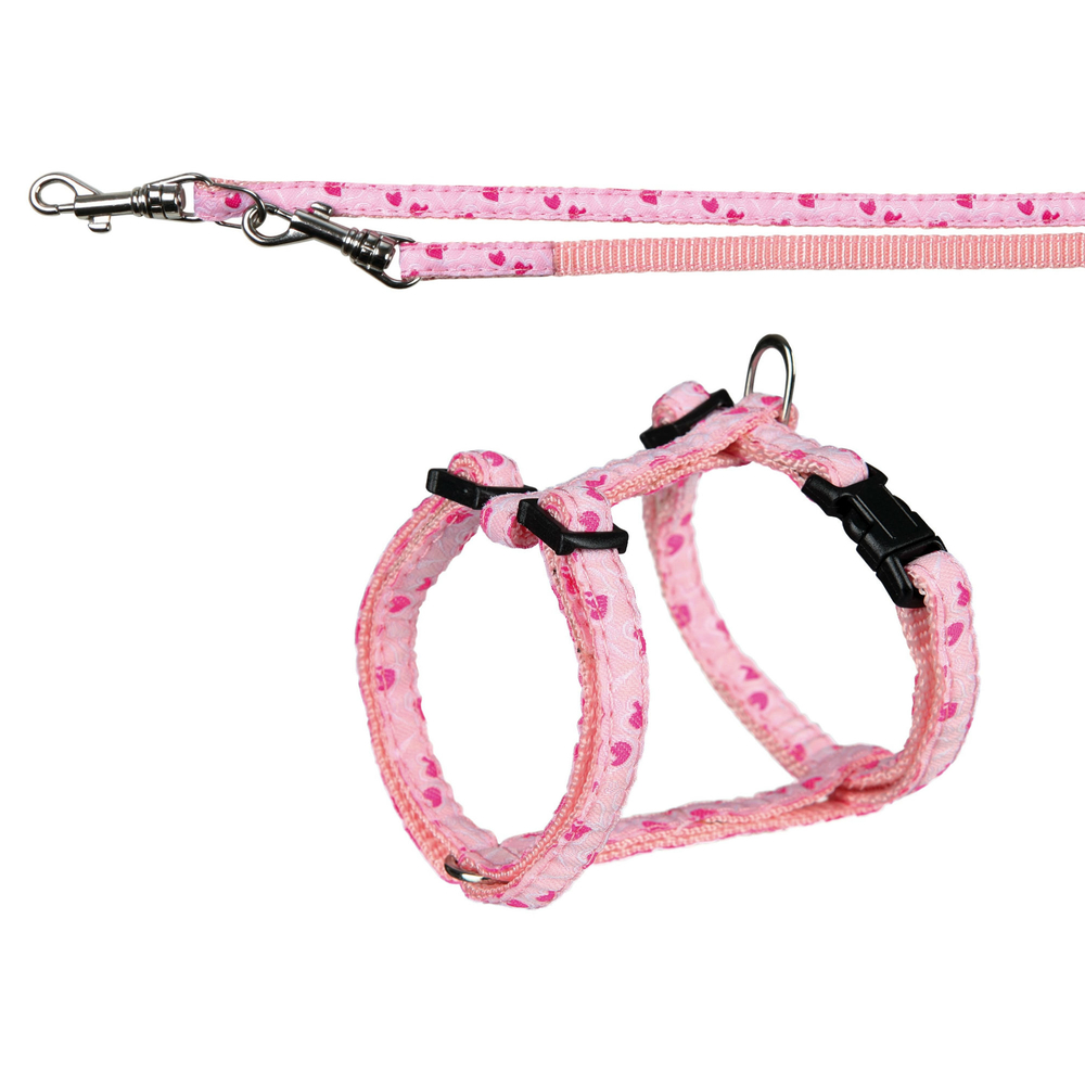 Welpengarnitur rosa Rose Hearts Bild 1