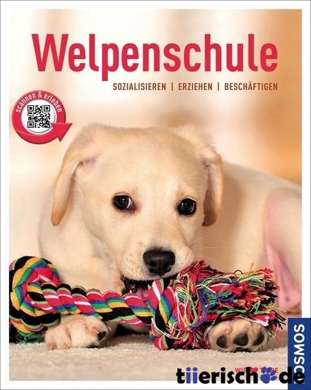 Welpenschule Bild 1