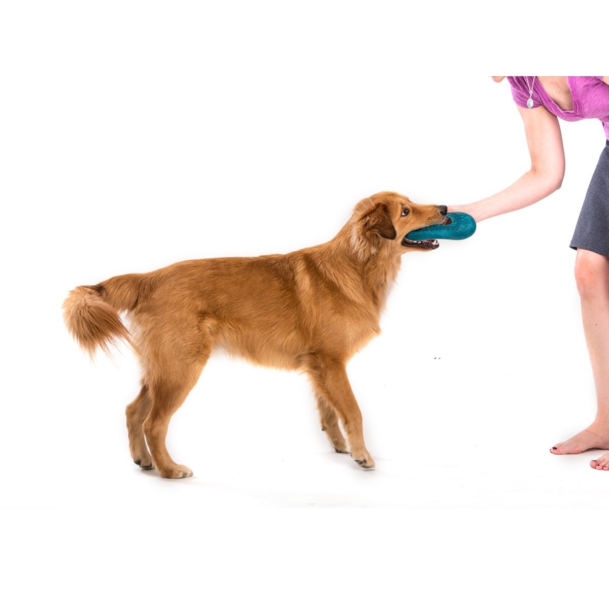 West Paw Air Dash für Hunde Bild 7