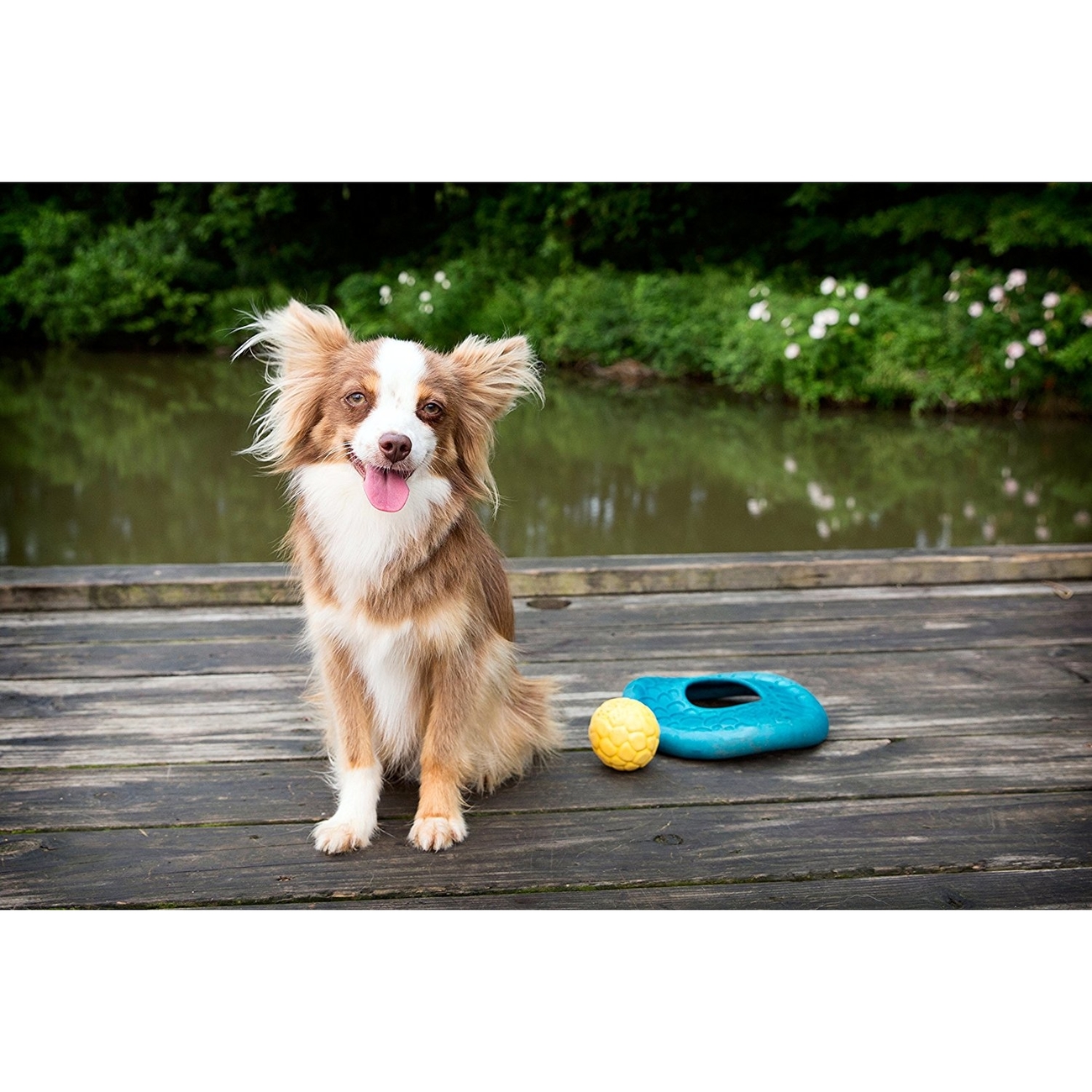 West Paw Air Dash für Hunde Bild 9