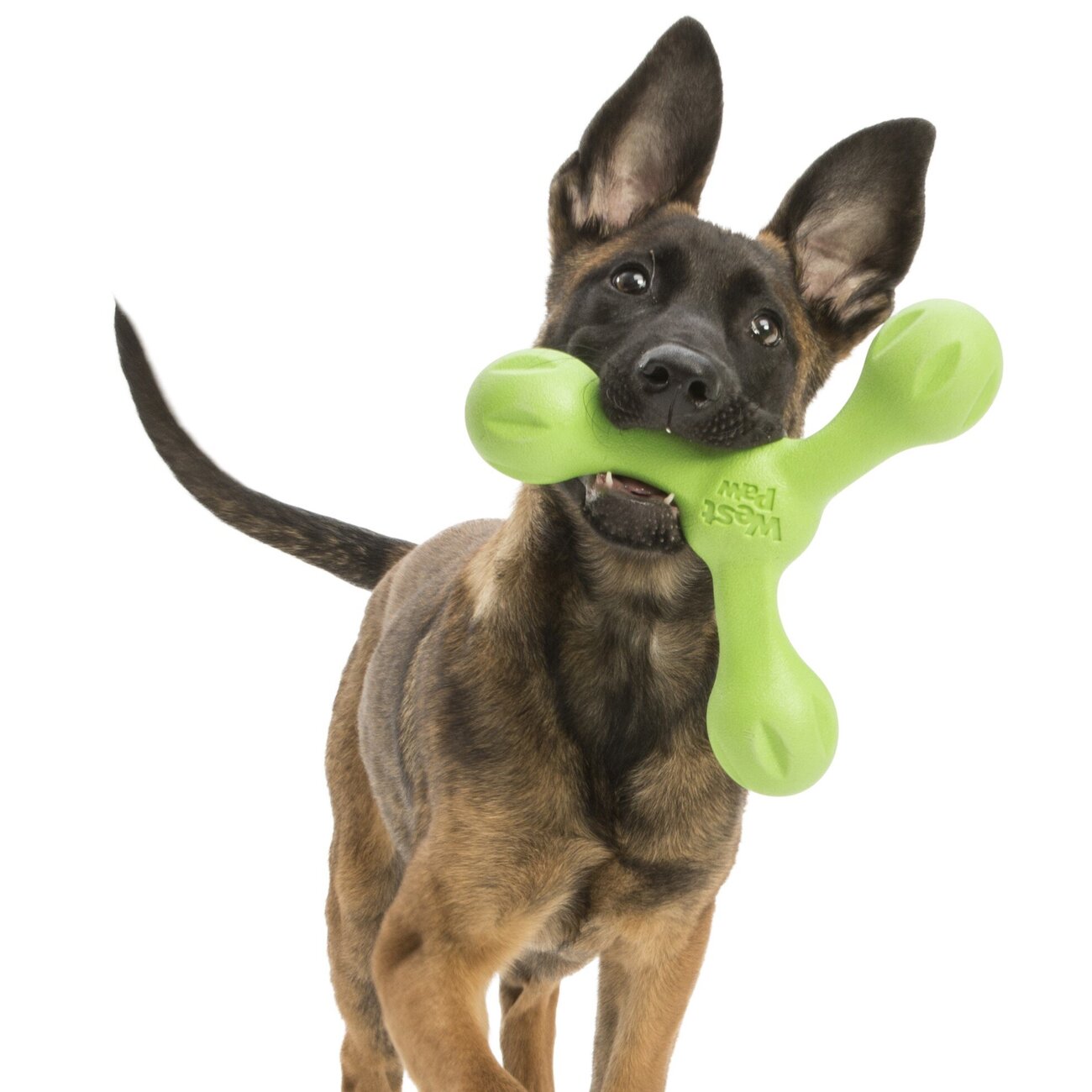 Echo Skamp Hundespielzeug Bild 3