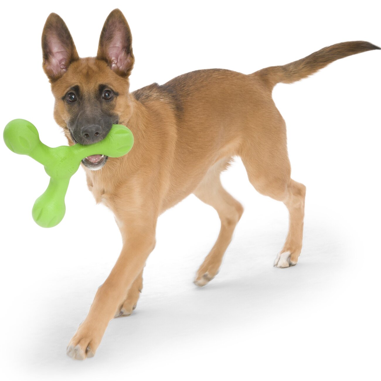 Echo Skamp Hundespielzeug Bild 6