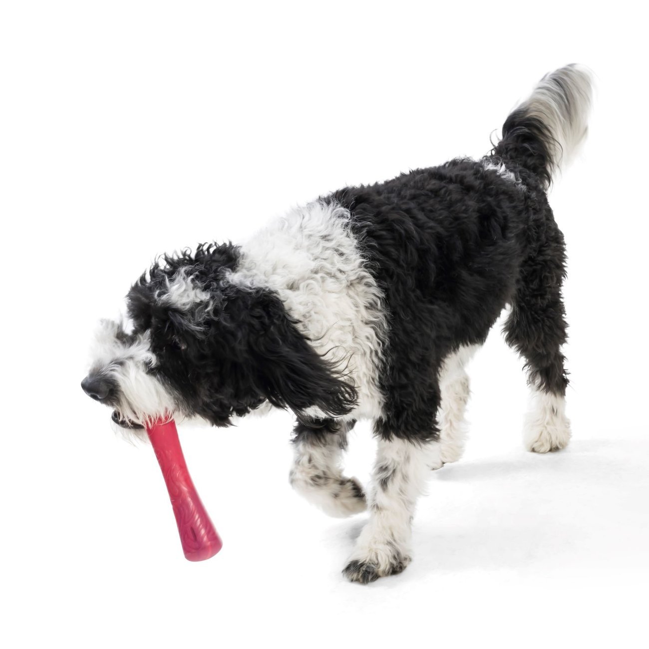 Hundespielzeug Seaflex Drifty Bild 6