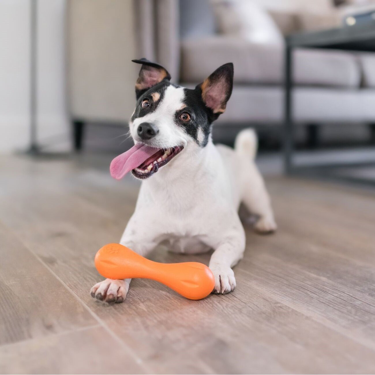 Hurley Hundespielzeug Bild 2