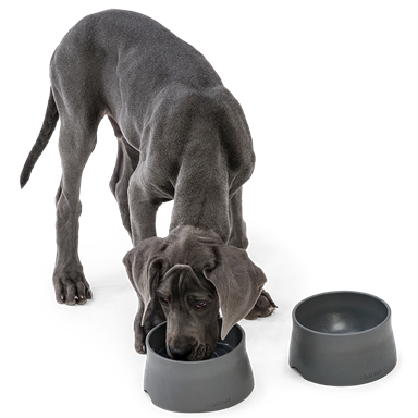 Seaflex Hundenapf recyclebar Bild 2