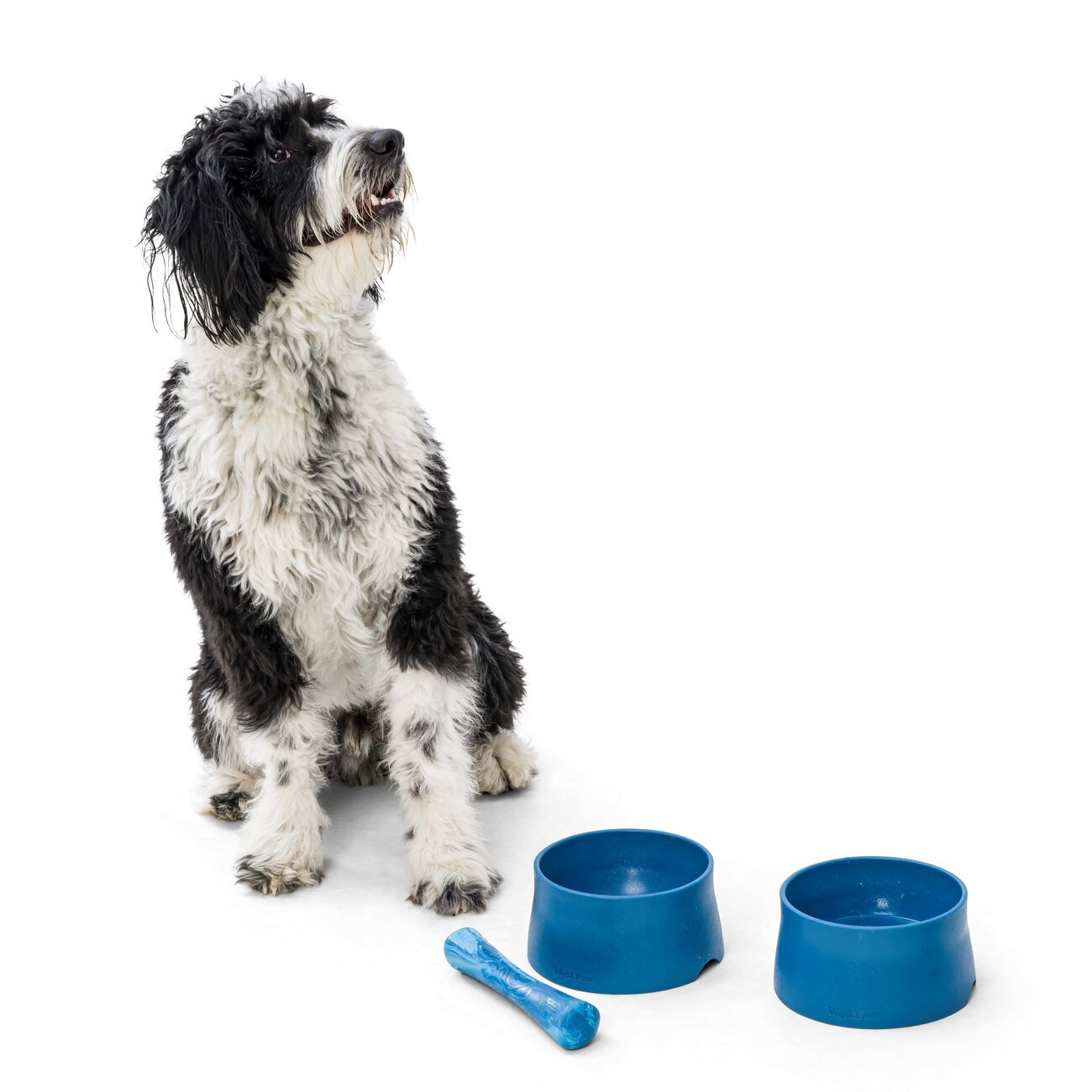 Seaflex Hundenapf recyclebar Bild 6