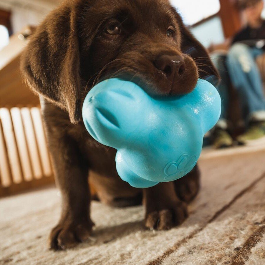Tux Öko Hundespielzeug Bild 2