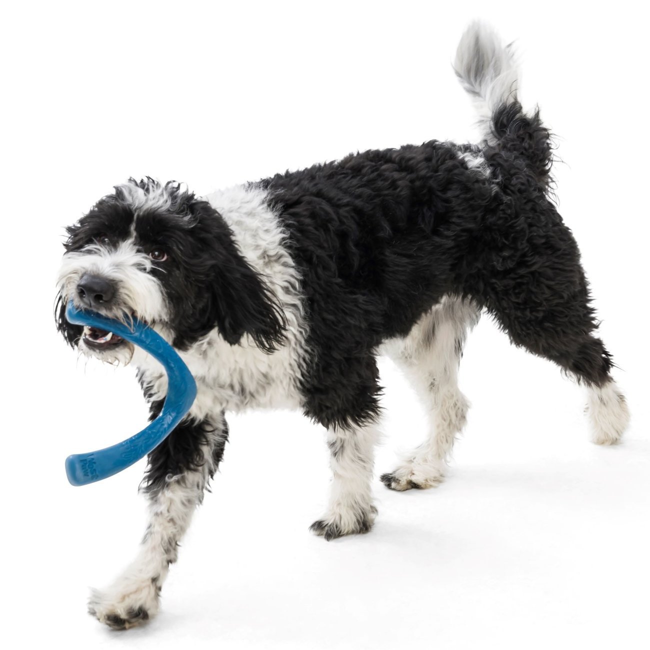 Wasserspielzeug Seaflex Snorkl Bild 6