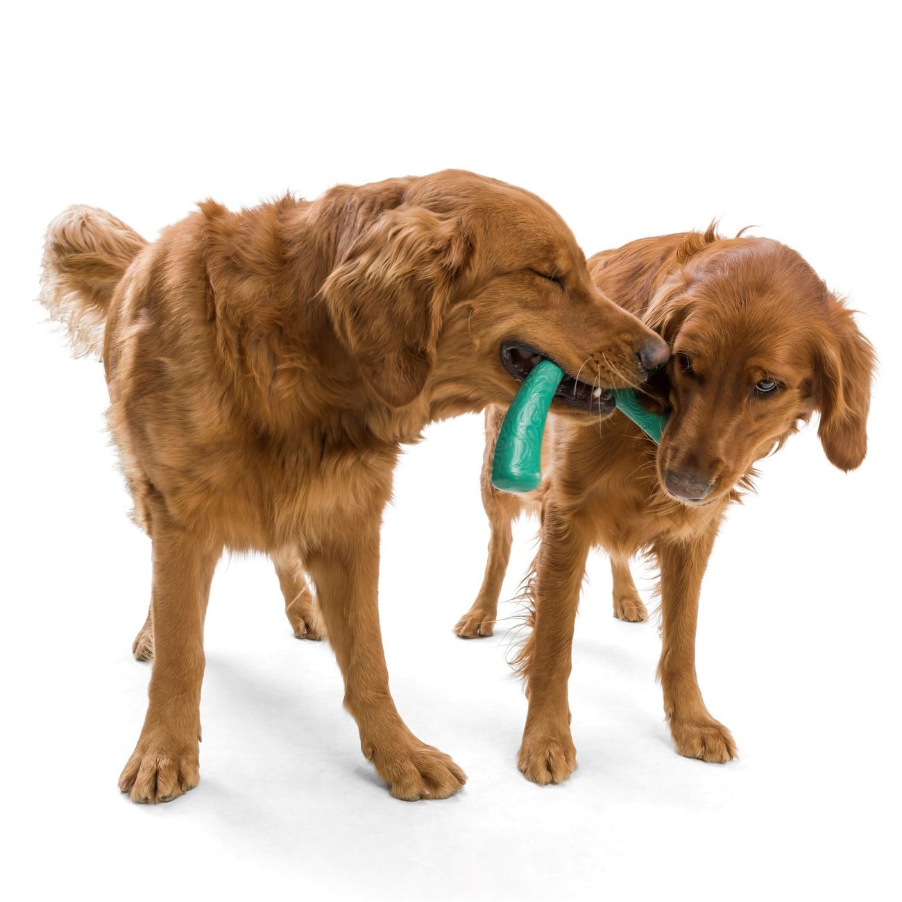 Wasserspielzeug Seaflex Snorkl Bild 2