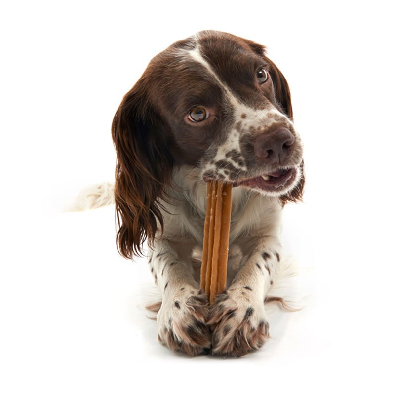 WHIMZEES Zahnpflege Stix Hundesnack Bild 2