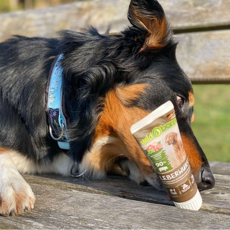 Premium Hunde Leberwurst aus der Tube Bild 4