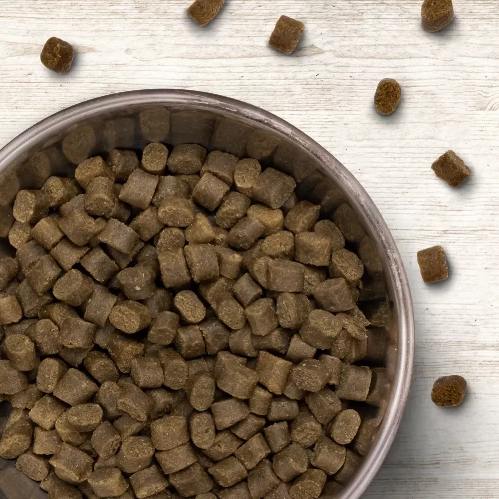 Wildborn Soft Amber Bild 2