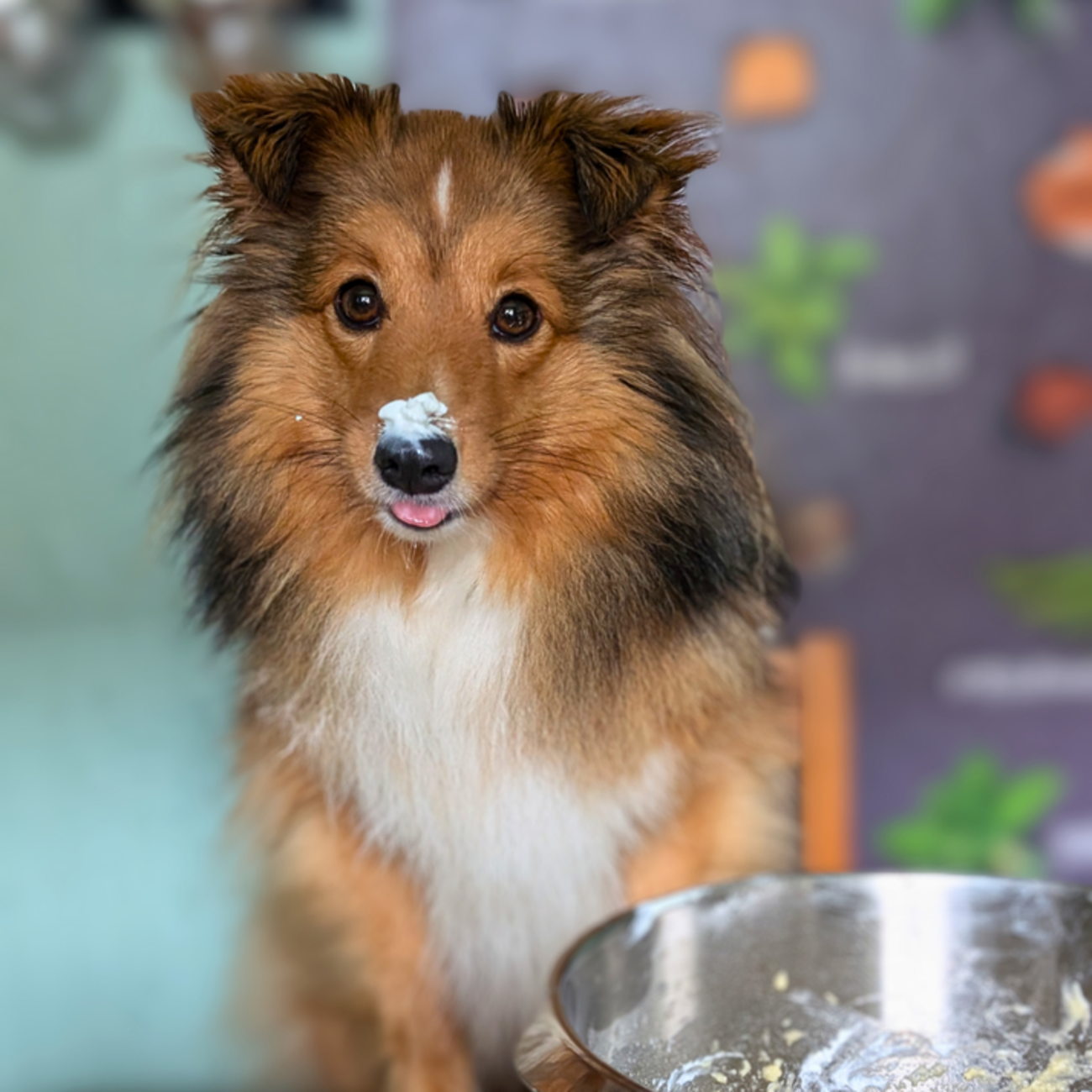 Pup-Cakes Backmischung für Hunde Bild 2