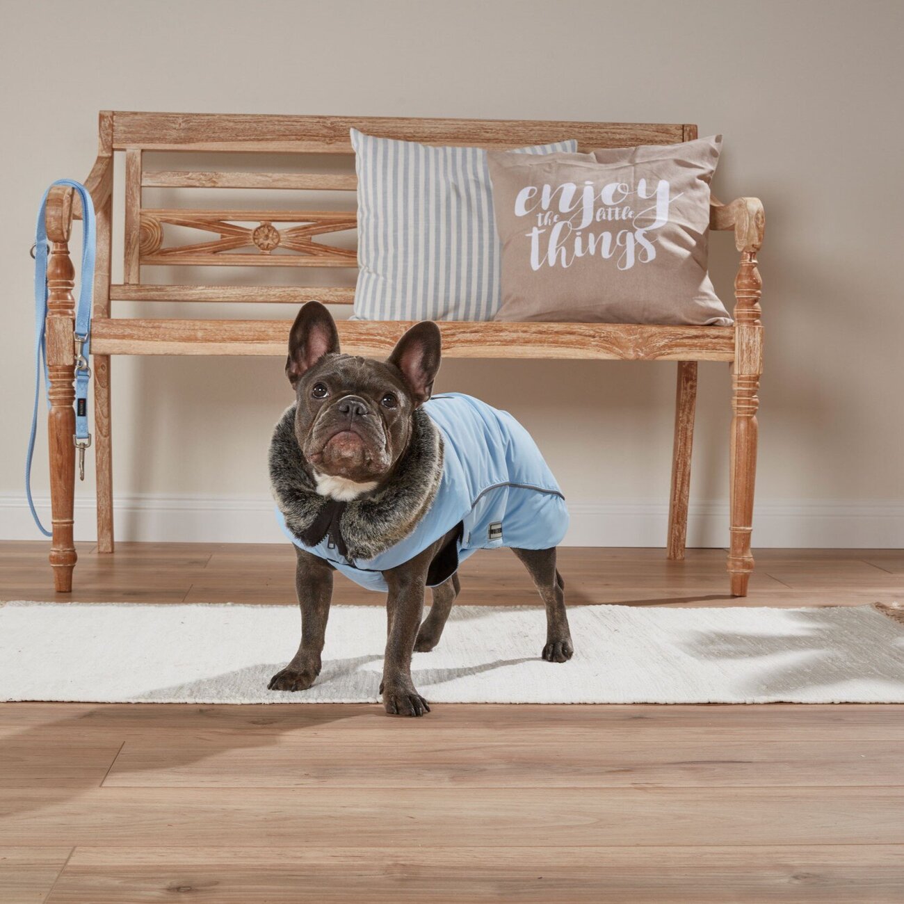 Winterjacke Amundsen für Mops&Co. Bild 12