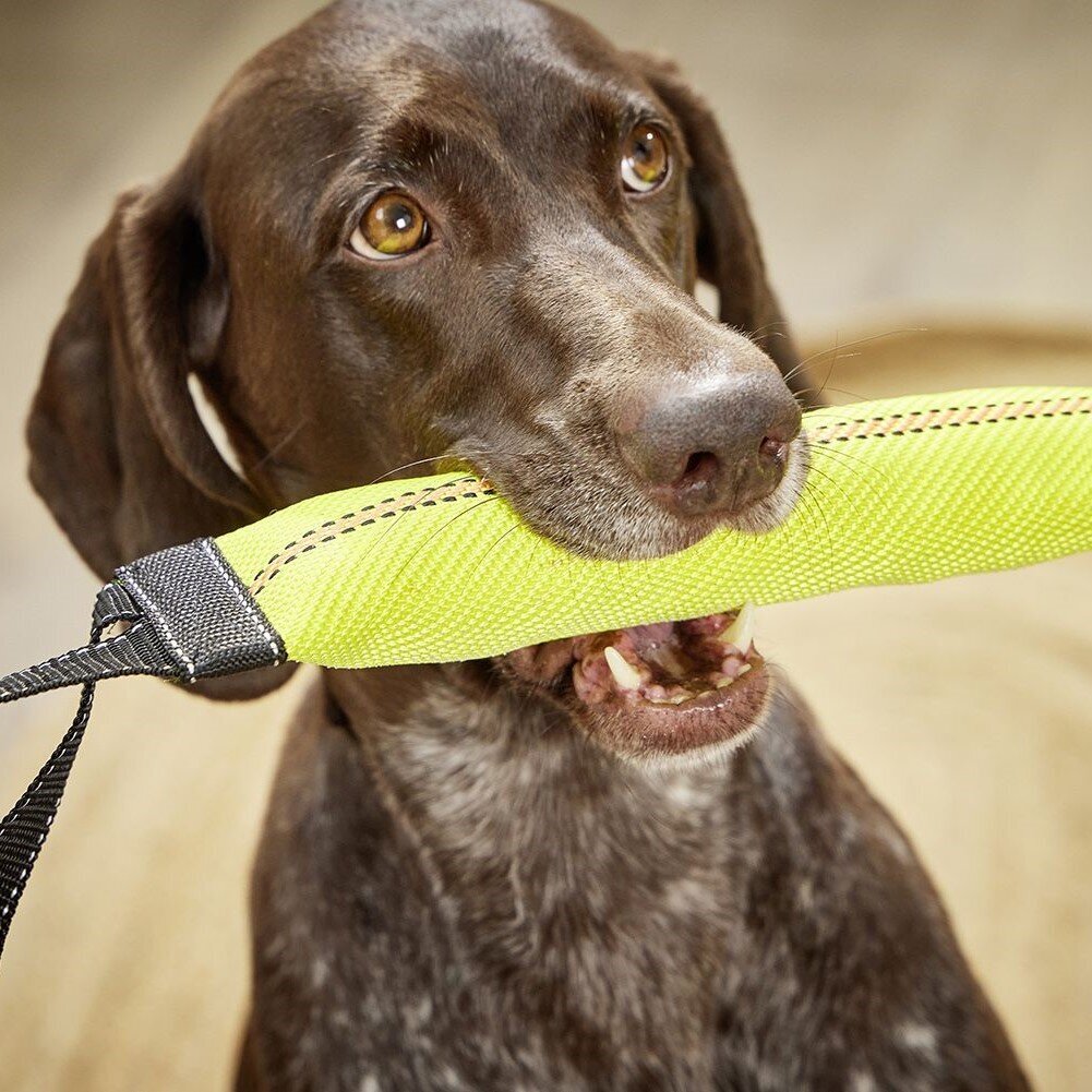 Apportierdummy Beißwurst Horst Bild 2