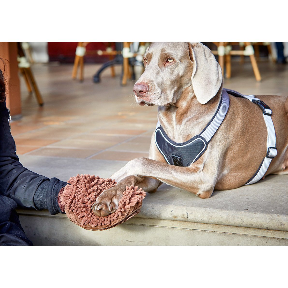 Cleankeeper Dry Glove Pflegehandschuh Bild 5