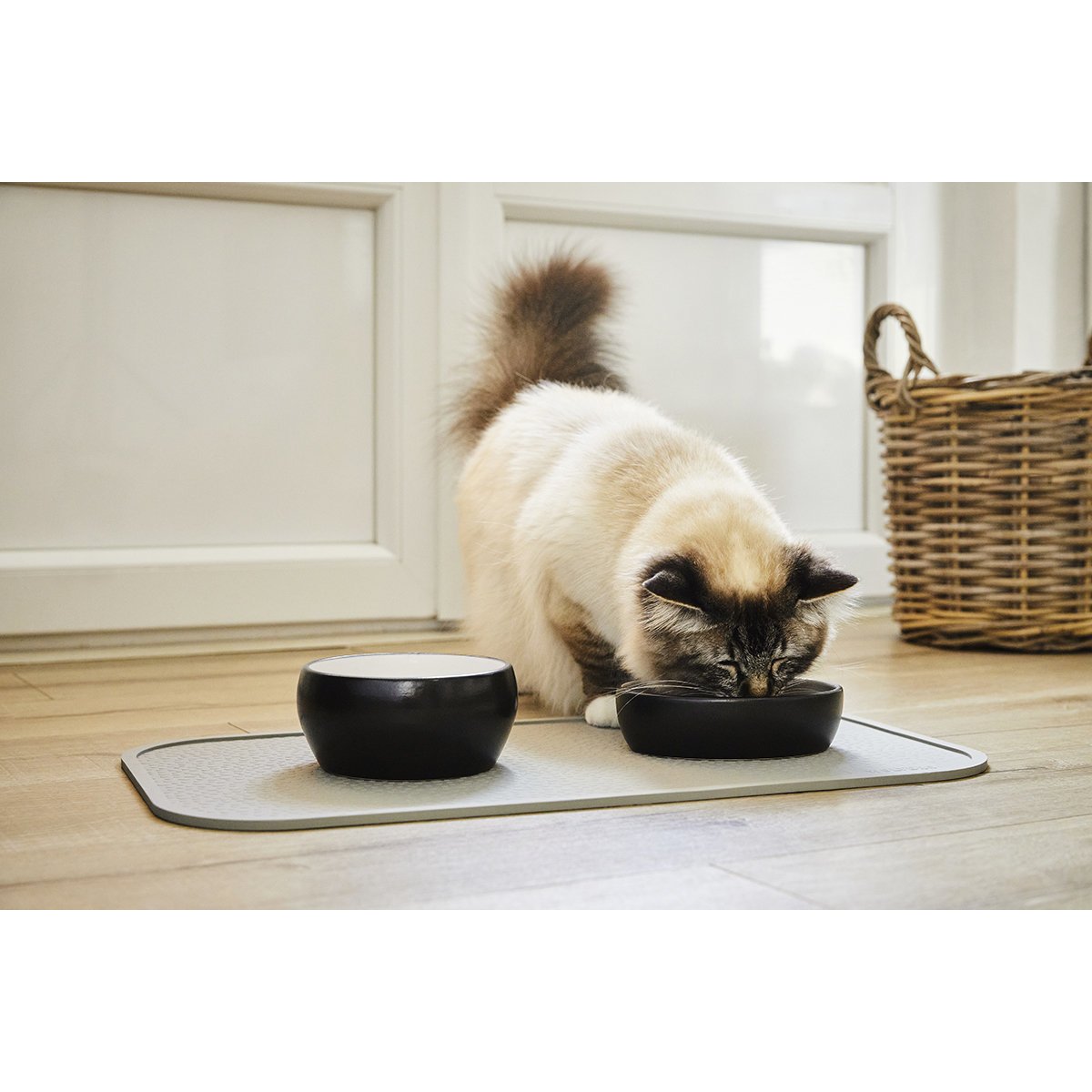 Wolters Diner Colour Katzennapf Bild 3