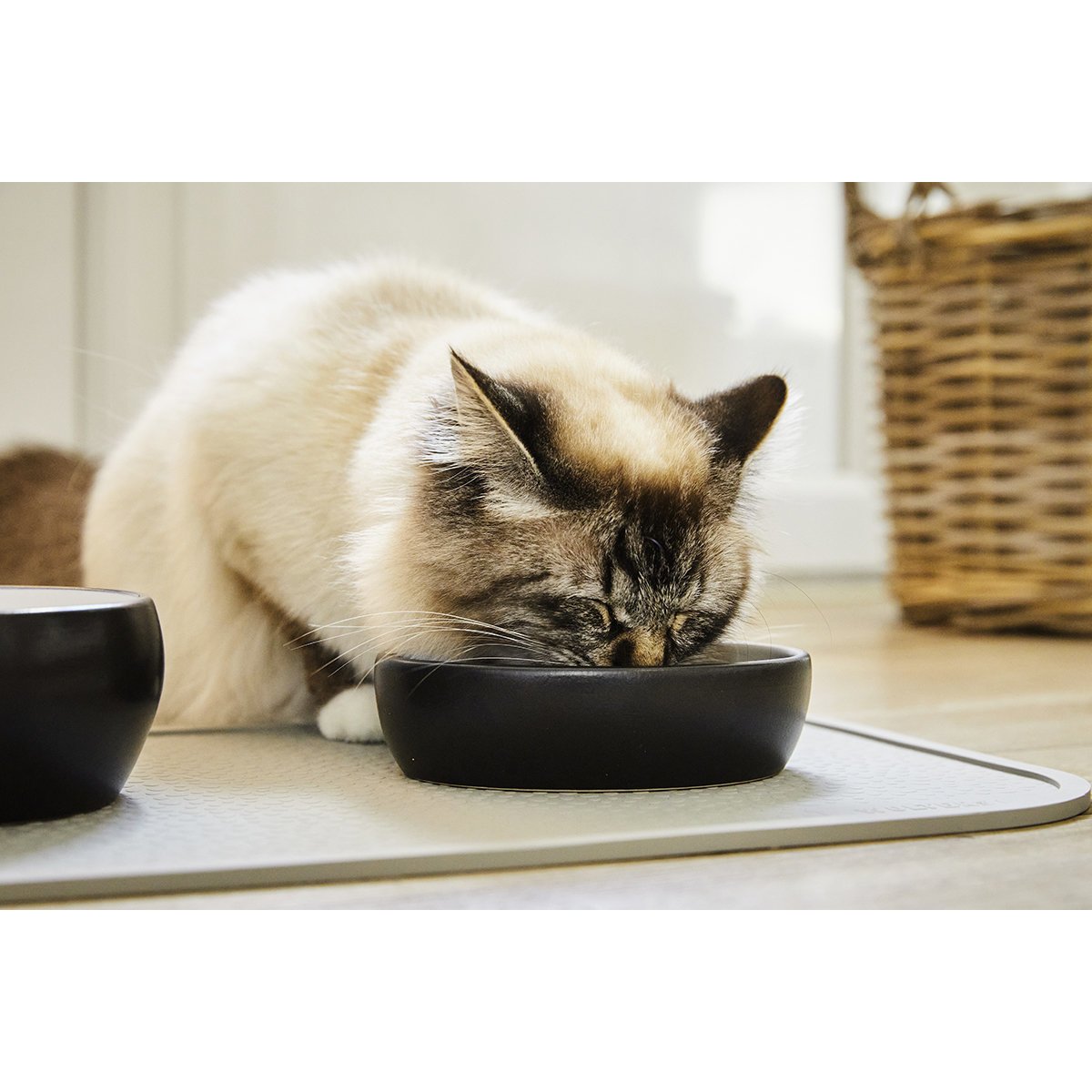 Wolters Diner Colour Katzennapf Bild 2