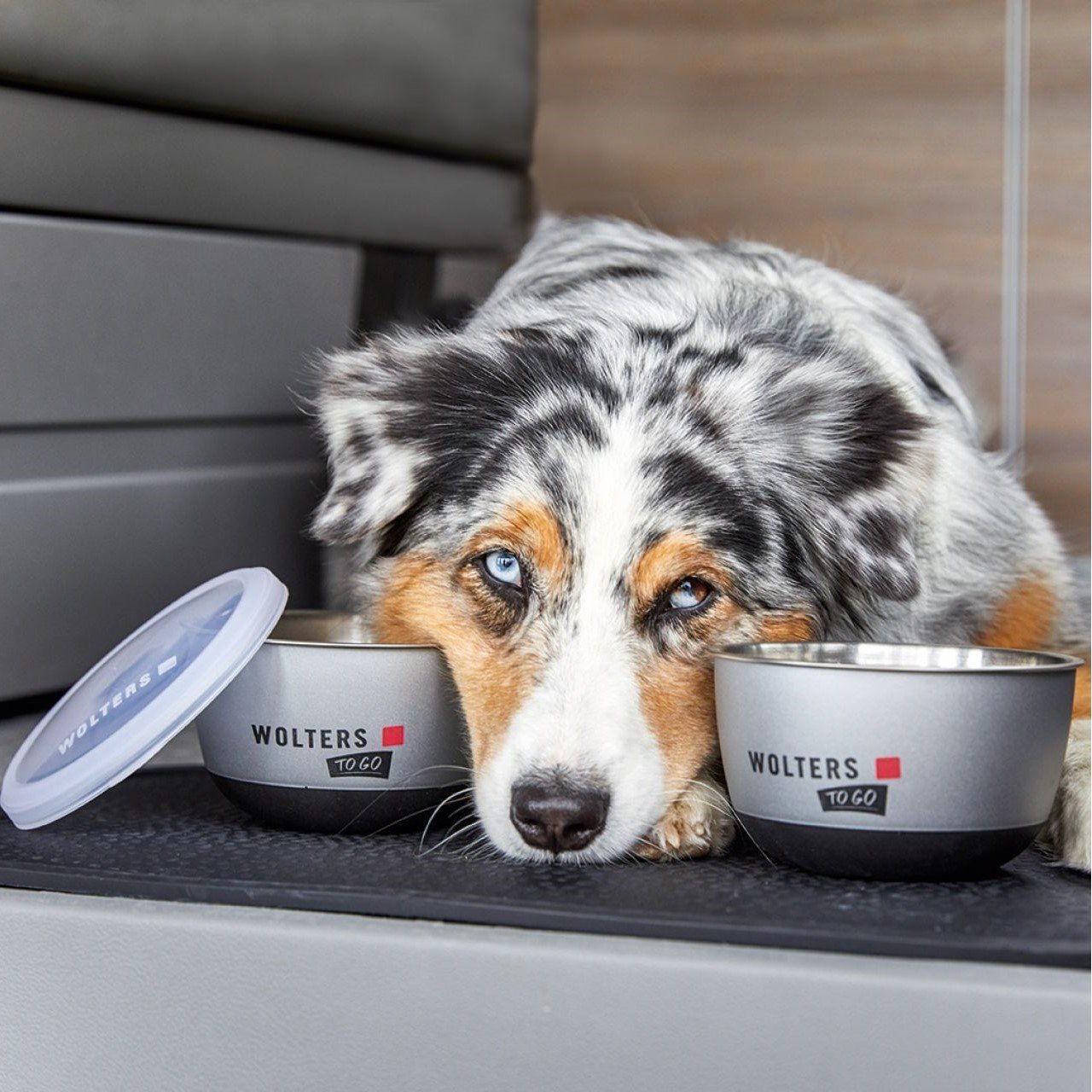 Wolters Diner TO GO Reisenäpfe für Hunde Bild 2