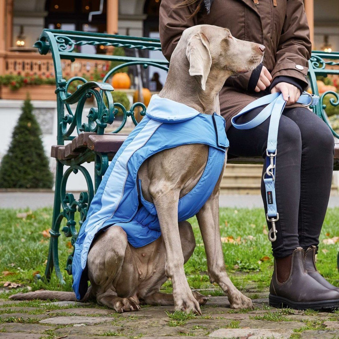 Wolters Dogzwear Skijacke Winterjacke für Hunde Bild 2