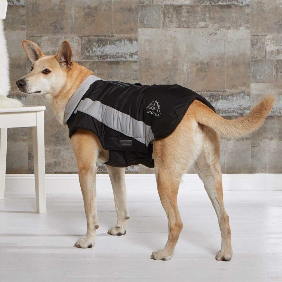 Wolters Dogzwear Skijacke Winterjacke für Hunde Bild 4