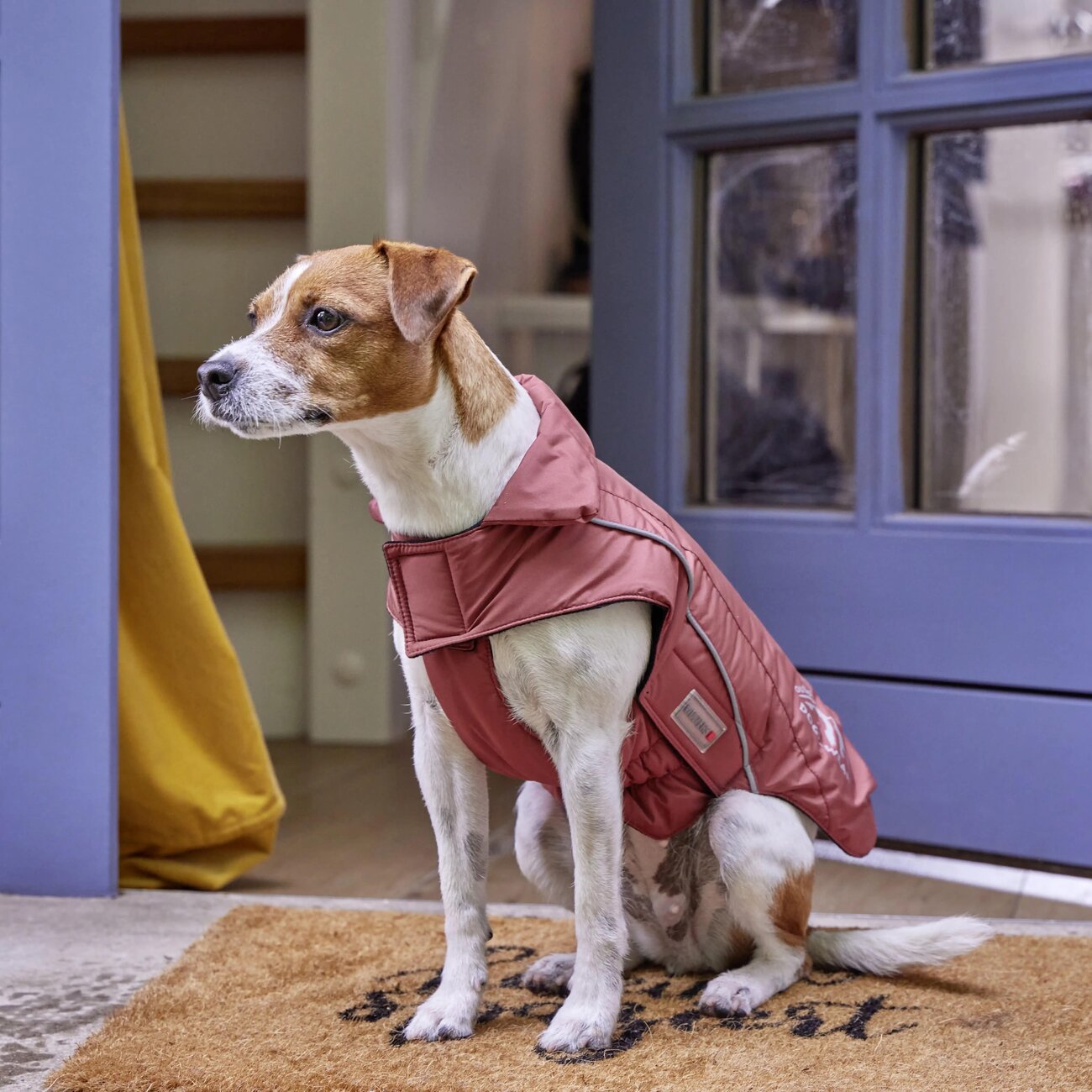 Wolters Dogzwear Skijacke Winterjacke für Hunde Bild 16