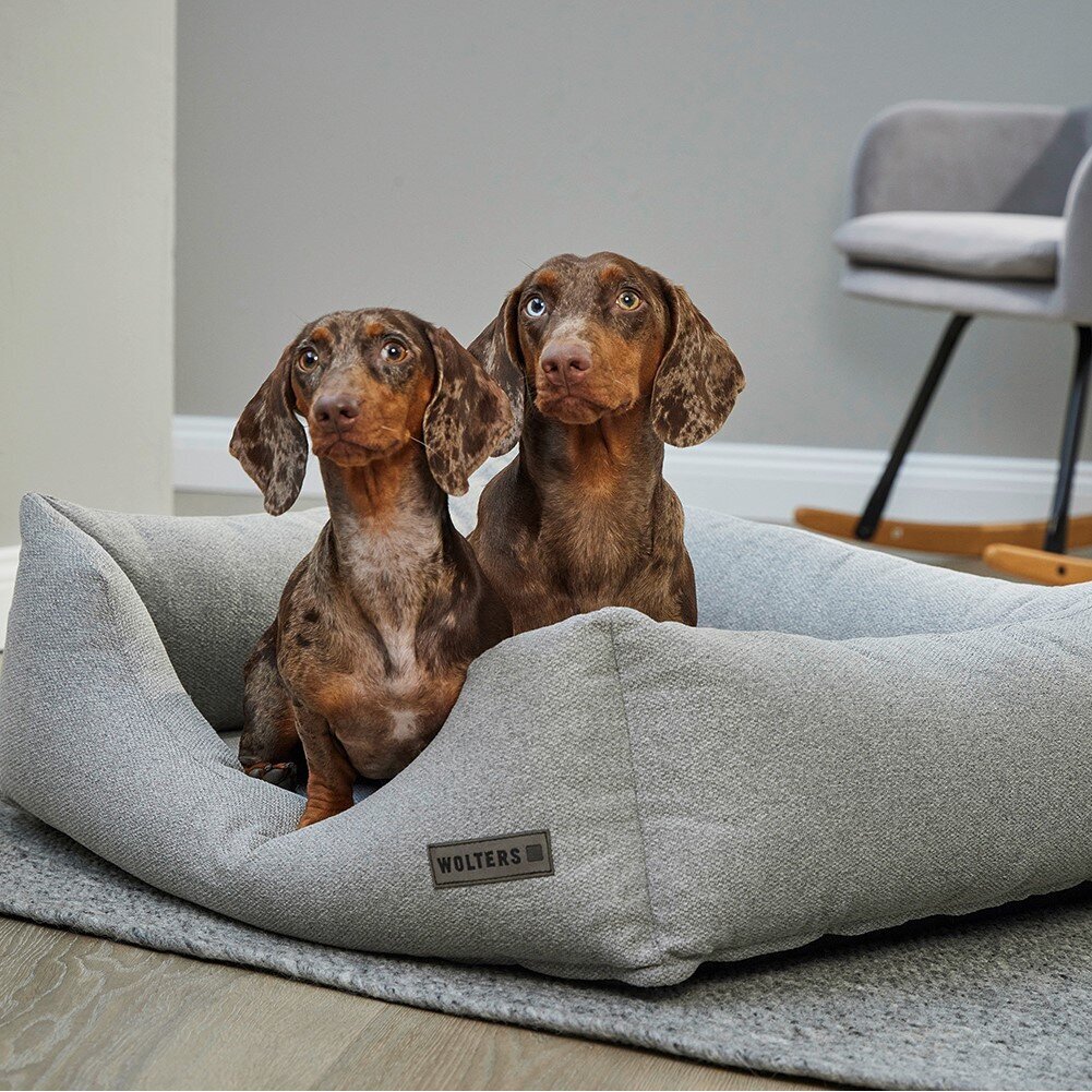 Dreamwell Hero Hundebett Bild 2